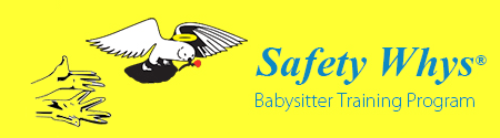 Safety Whys Babysitter Training Program